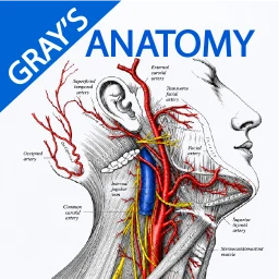 Ikon Gray's Anatomy - Anatomy Atlas